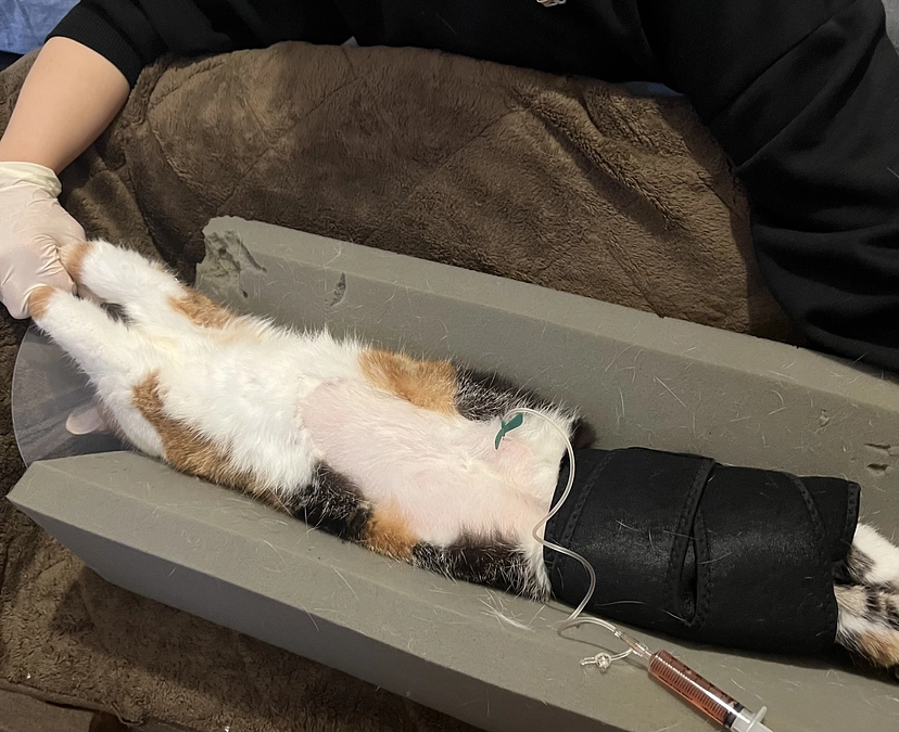 2週間ぶりの自宅でのSUBシステム洗浄