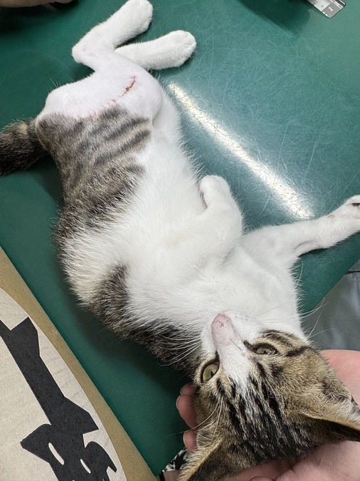 ありがとうございました！