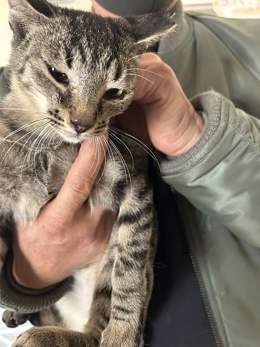 競馬場の子達にずっとのお家が決まりました㊗️