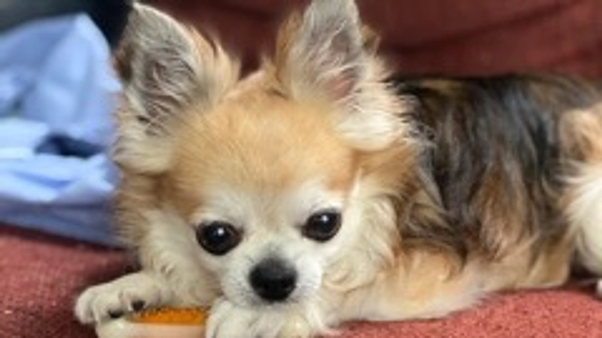 はじめまして！