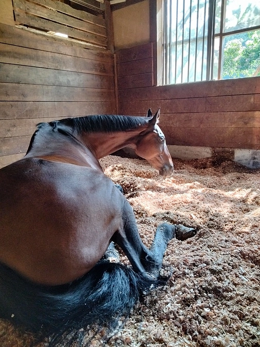 【あと2日！残り120万・・・！】ミントしゃんの変化について