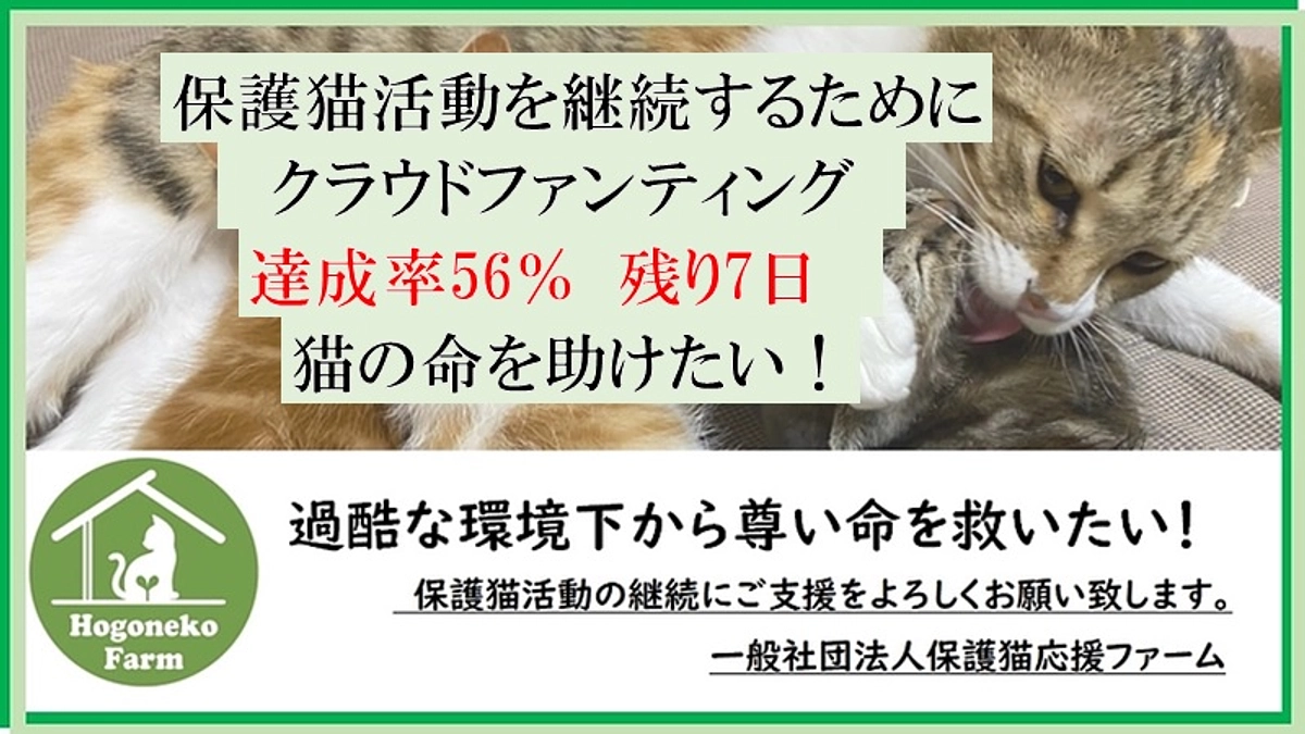 【活動報告】お願い💦カウントダウン💦残り7日間💦