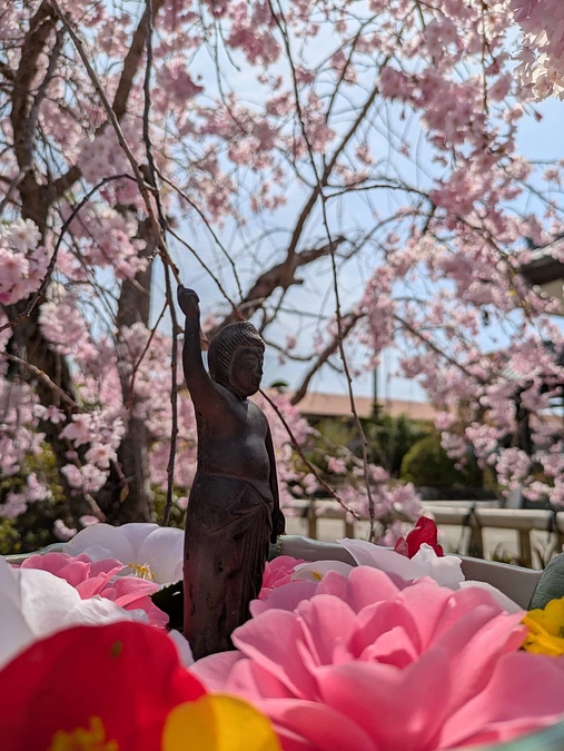 住職のひとりごとコラム：内﨑山の未来を守るために、皆様の温かいご支援を