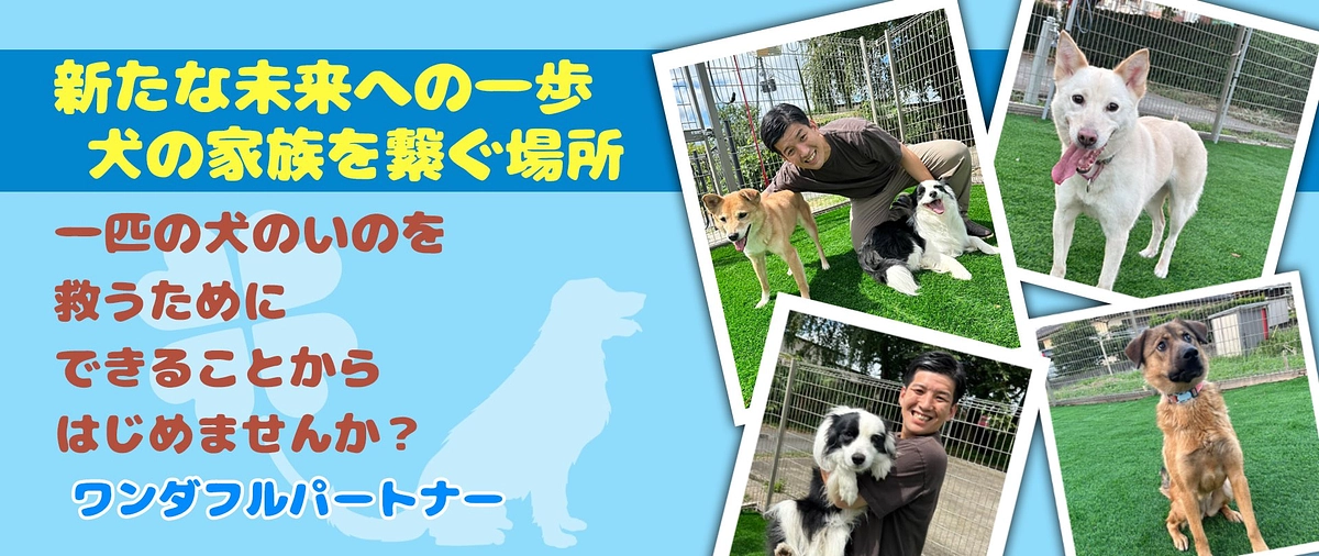 クラウドファンディング14日目