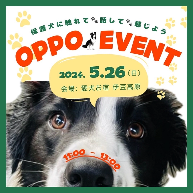 イベント開催決定