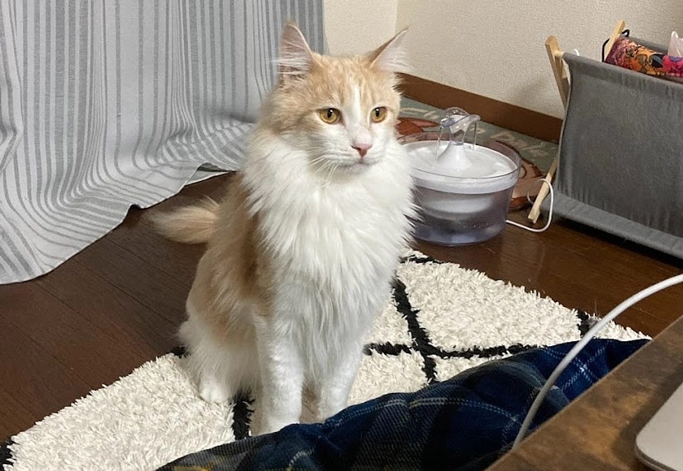 12/8経過観察23日目