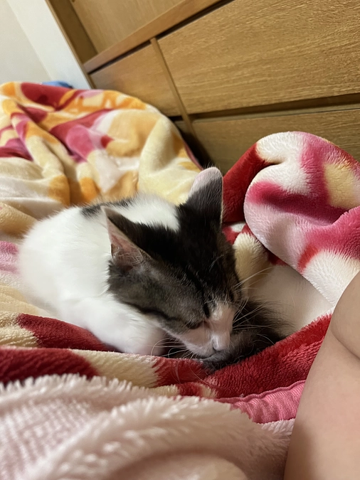 同時にやってる