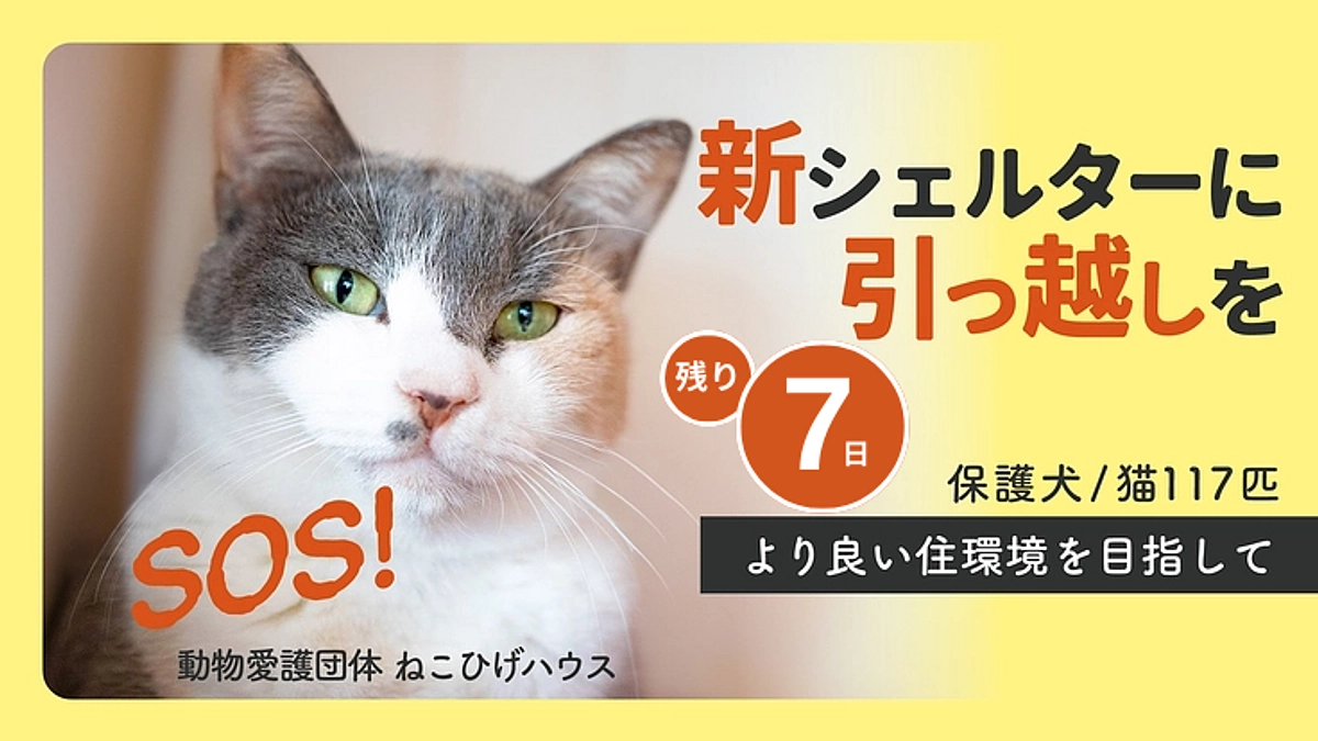 【12月22日まで！】新認定団体である「特定非営利活動法人ねこひげハウス」さんを応援しています！
