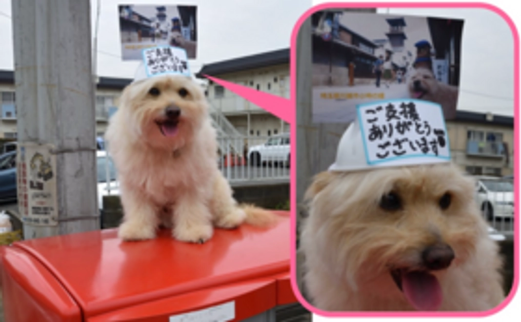 【かぶりものまんぺいの全国行脚を応援】まんぺいポストカードのサンクスレター