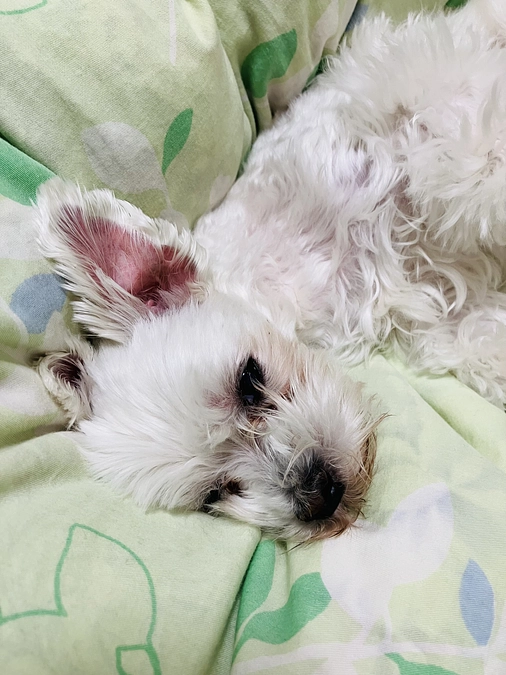 おはようございます。