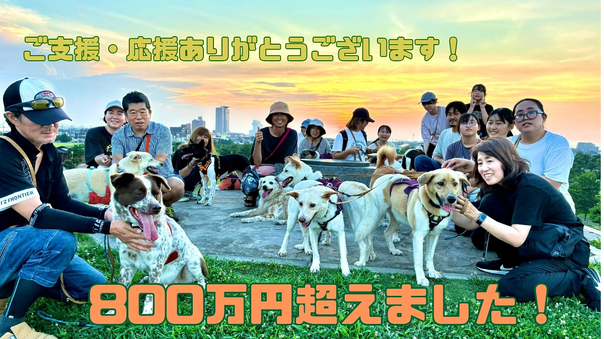 【800万円】まで到達しました！  目指せ、27日までに1000万円！皆さんの応援を力に走り切ります