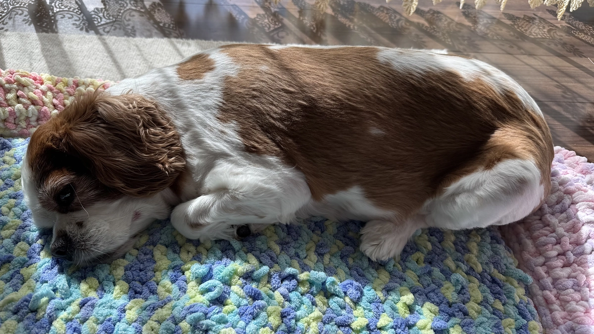 非常に厳しい状況です。【6日目】