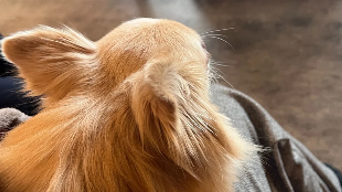 手術前の検査に行ってきました🏥🙇‍♀️