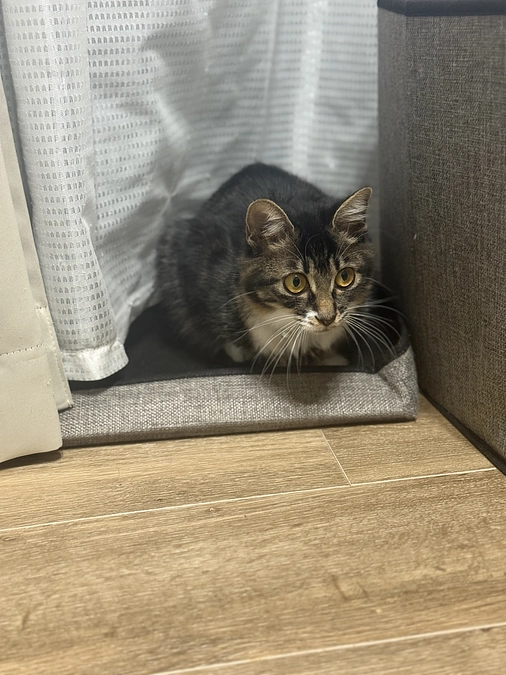 10月28日、受診日でした🏥