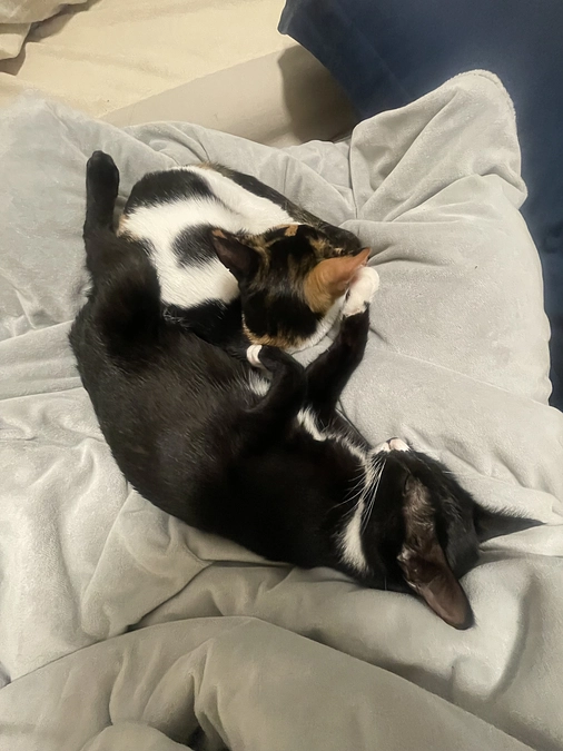 飲み薬開始その2！