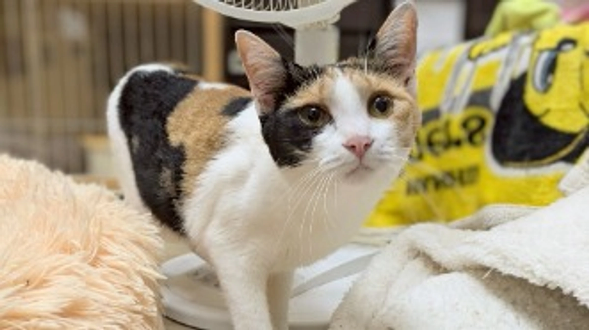 ⛱️7月活動報告🏄️