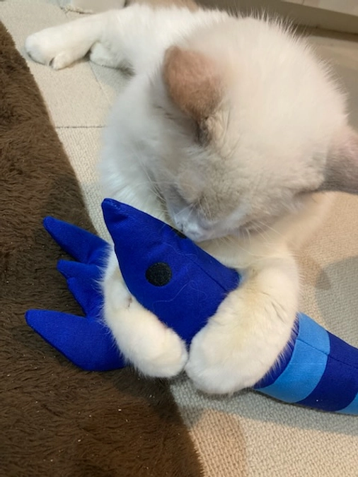 投薬１５日目(2023.3.27)