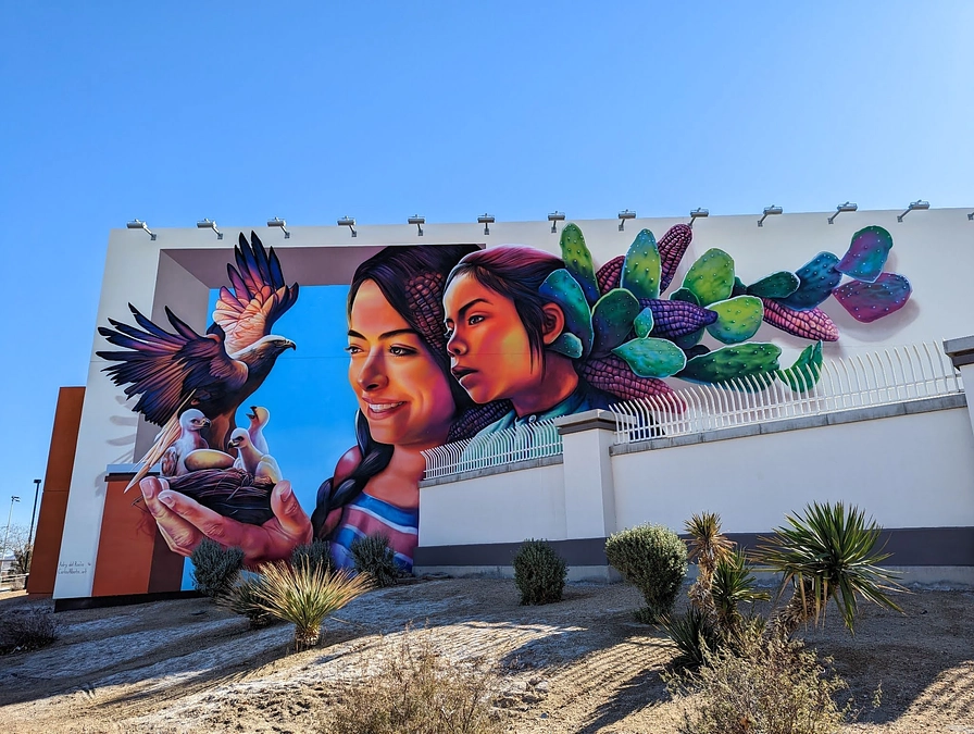 記者会見後のメディアの反響③：朝日新聞で大きく取り上げられました！（拡散願い）