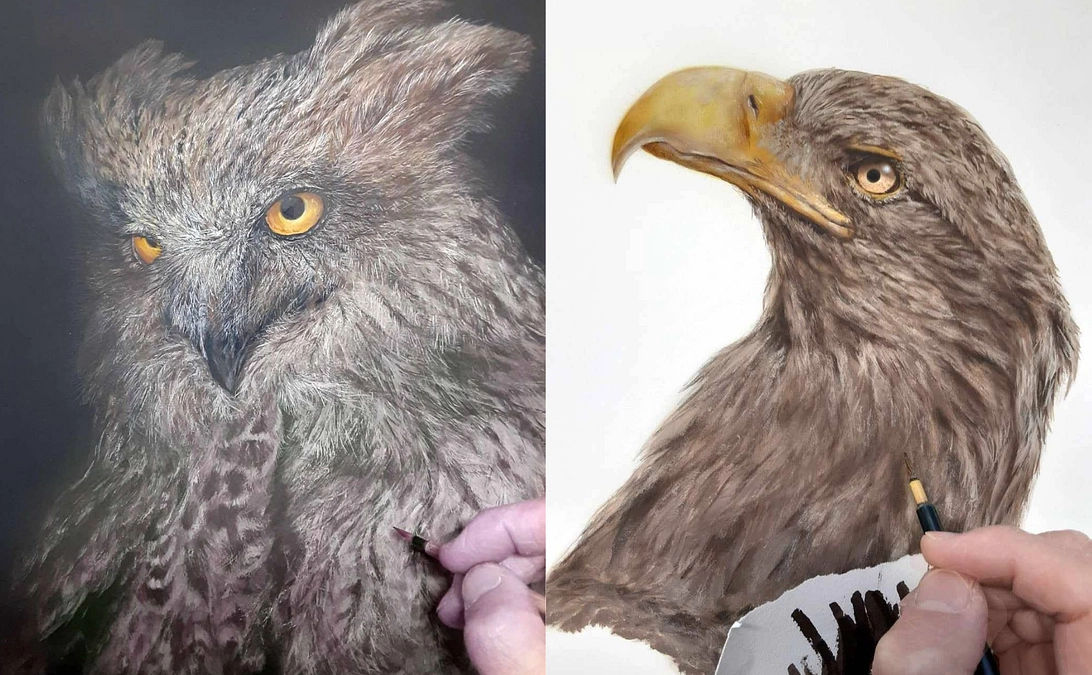 【追加リターン紹介】特製品！野生動物画家 岡田宗徳氏によるジークレー版画オジロワシ・シマフクロウ