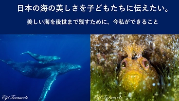 日本の海の美しさを子どもたちに伝えたい。 のトップ画像