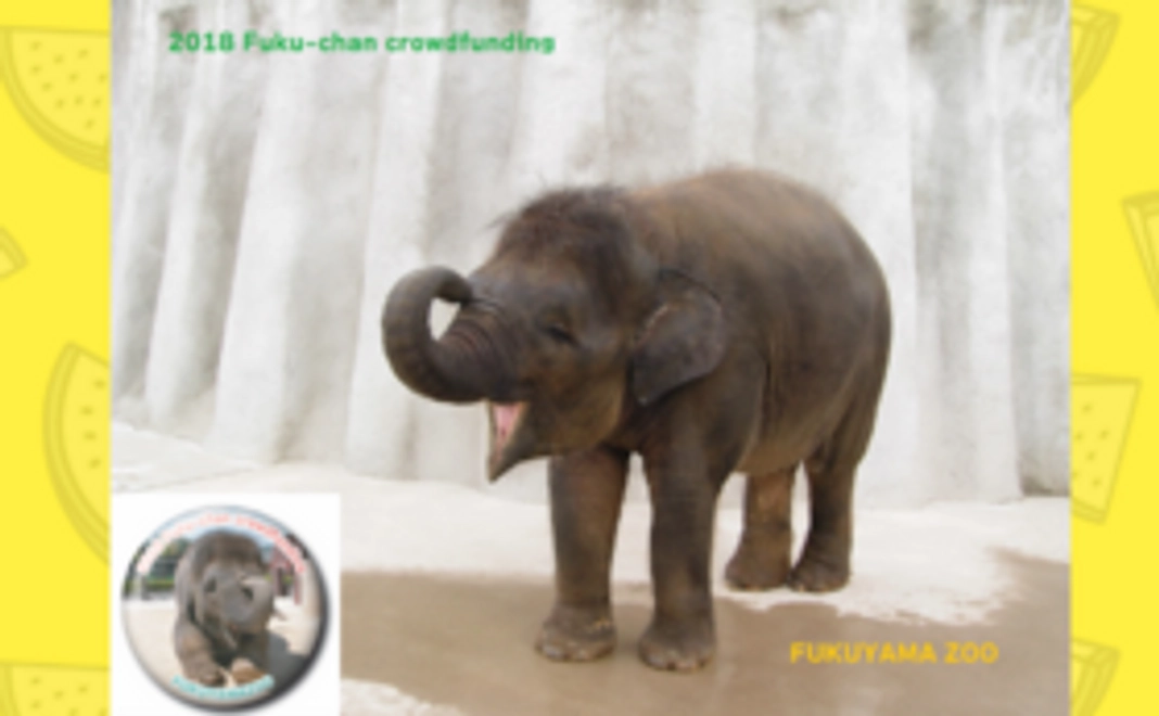 【ご支援認定缶バッジ＆FSC認証紙ポストカード】（今回限り★限定グッズ！）