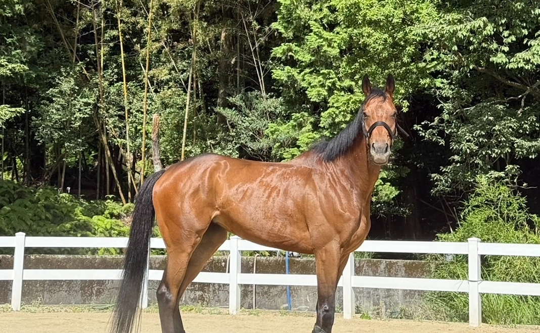 リトレースサポーター【1000円コース】