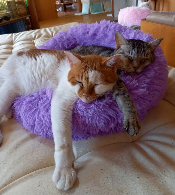 ナナちゃんとノアくん