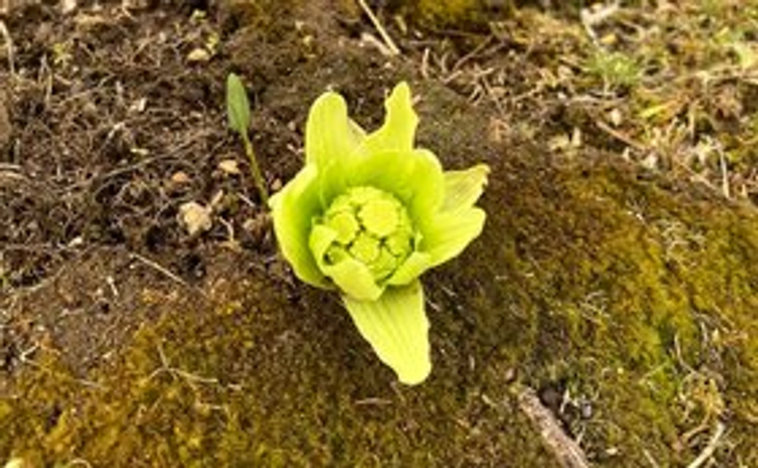 ありがとうのメール（3000円支援）