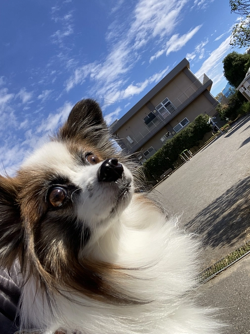 ☀️歩いてポカポカお散歩☀️ 