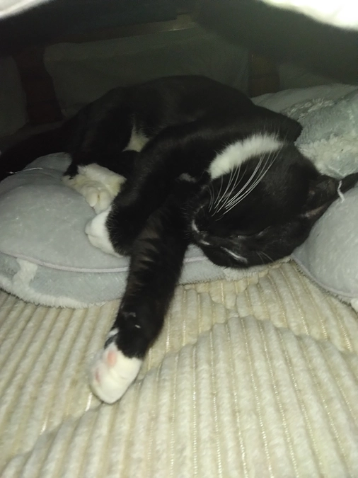 3/12はなちゃんの様子