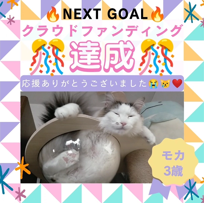 NEXT GOAL達成😭🙌🎊と延長のお知らせ