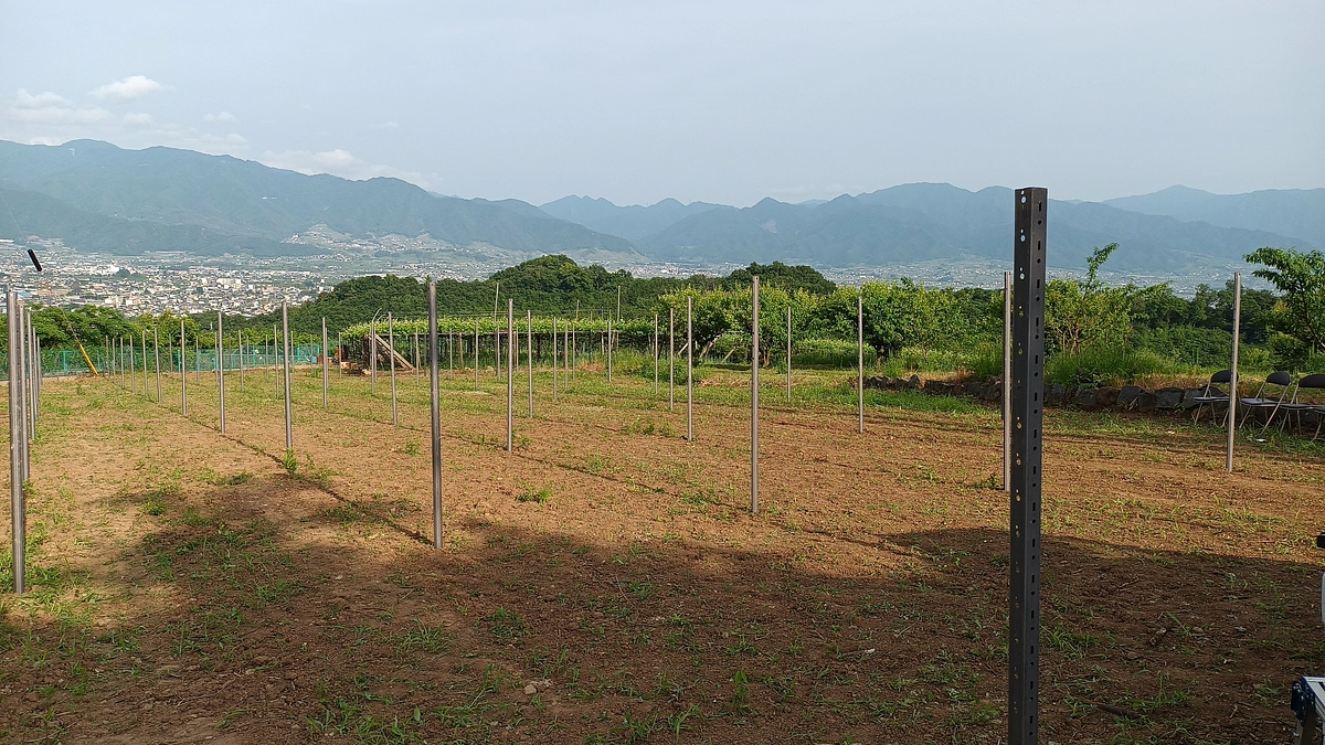 新圃場での垣根設置作業