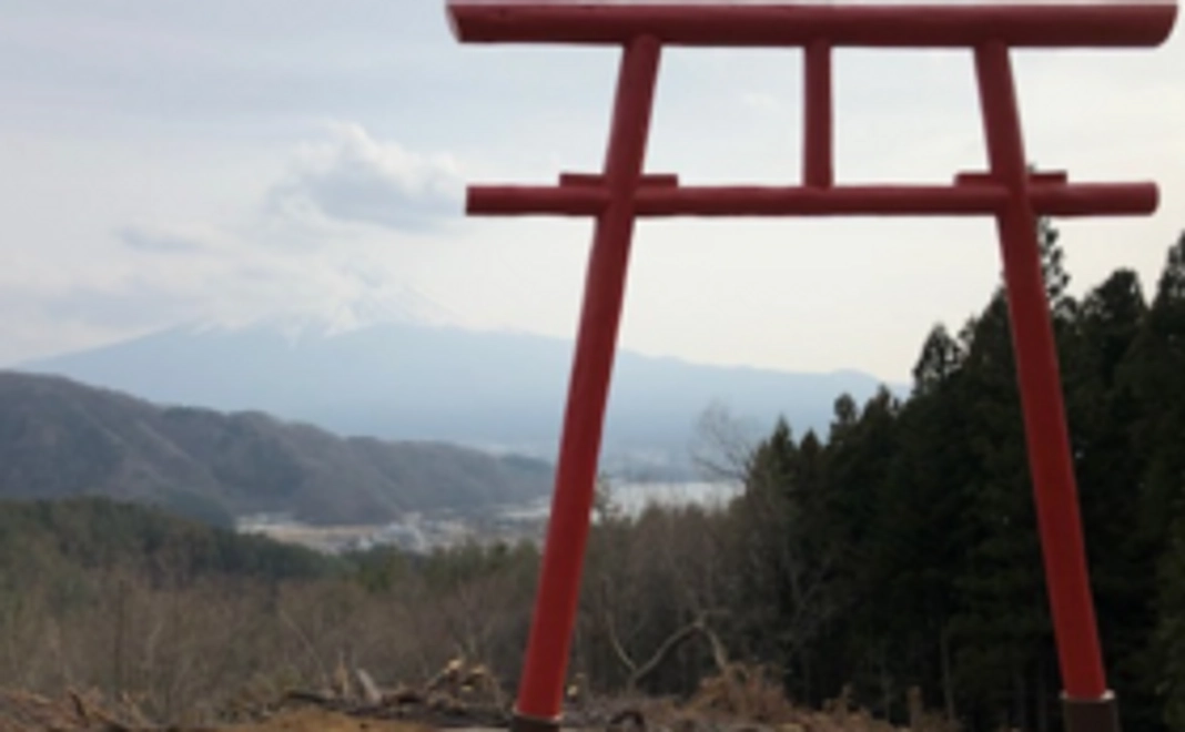 「富士山」応援リターン４　世界文化遺産の河口浅間神社に、桜を名前付きで記念植樹＋ペアでＳ席ご招待。