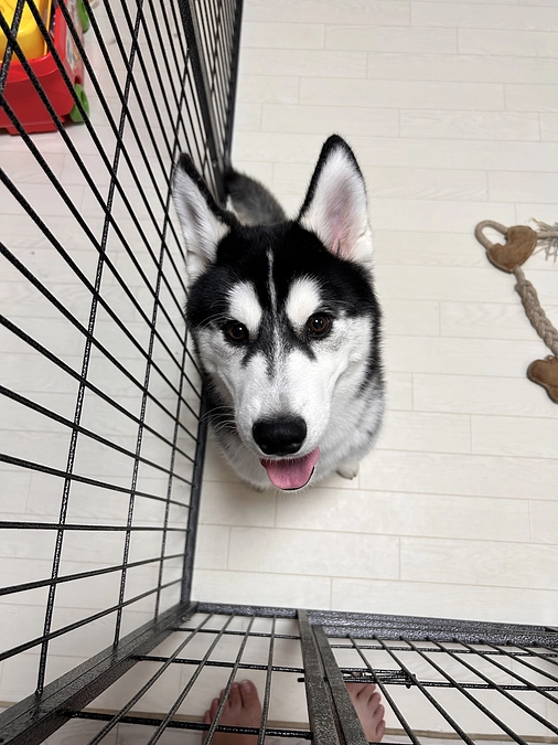 残り3日となりました