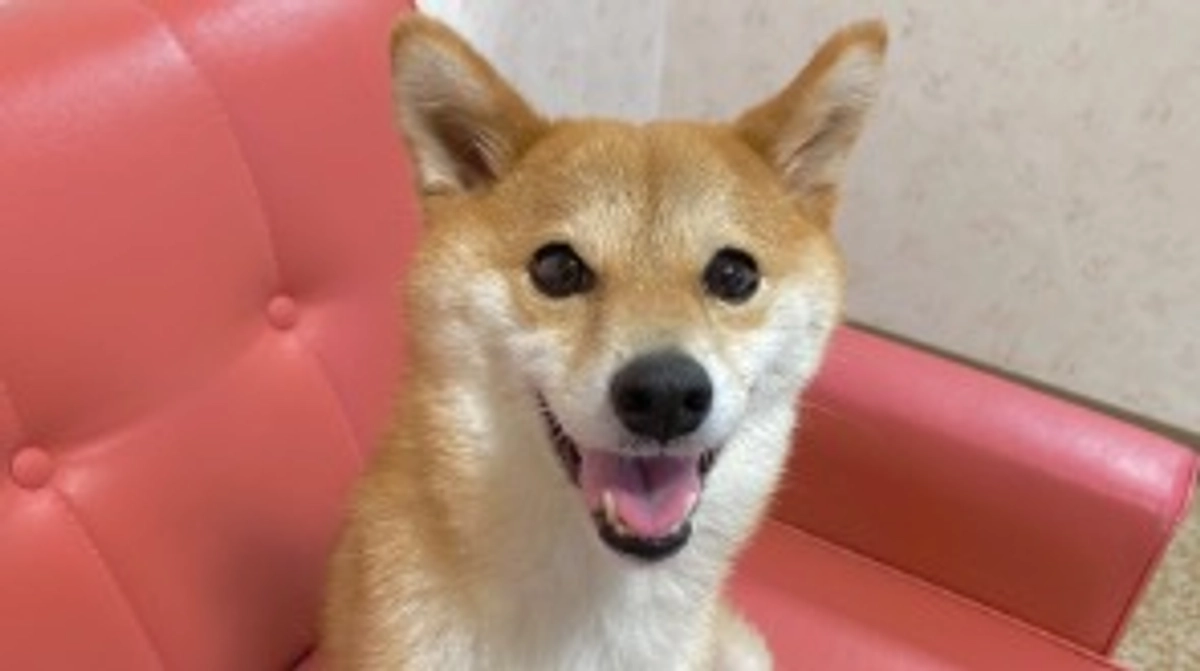 ここまでの治療効果と副作用