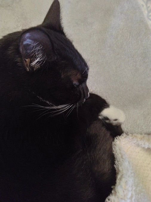 3/3はなちゃんの様子