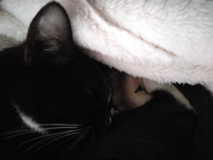 3/4はなちゃんの様子