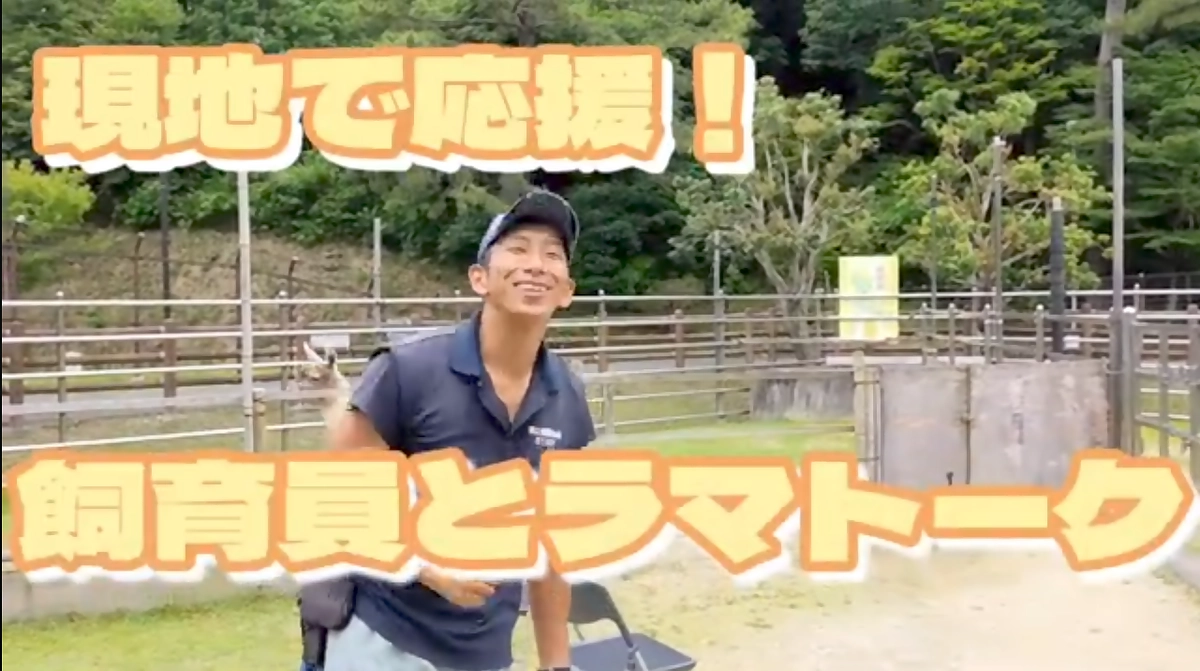【活動報告㉟】【動画でリターン紹介】現地で応援｜飼育員とラマトーク＜2024/12/22（日）＞