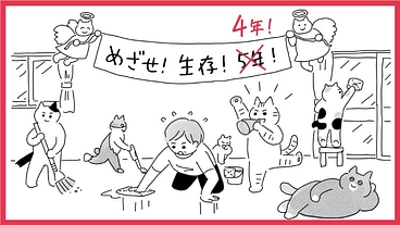 保護猫シェルター運営にご支援を/癌となったボランティからのお願い のトップ画像