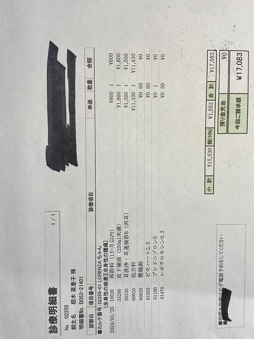 腫瘍認定獣医師診察に行きました　獣医師の抗がん剤治療メモ