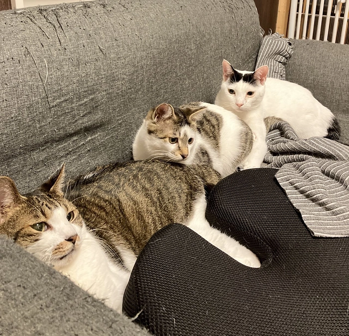 活動報告レポート(リターン・返礼品）をお送りしました