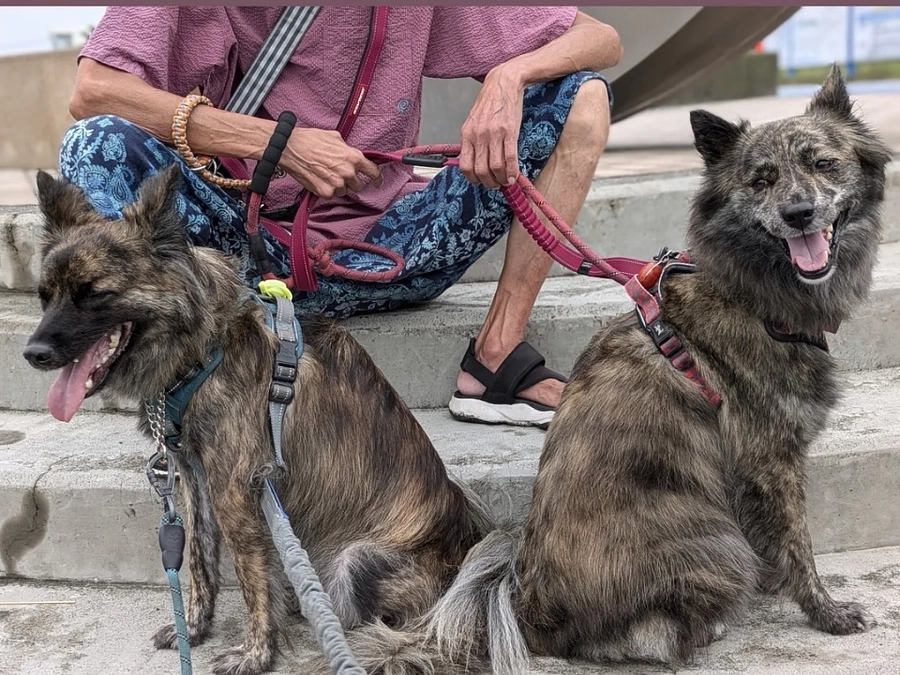 第一目標にご支援が届きました。本当にありがとうございます。ネクストゴールについて