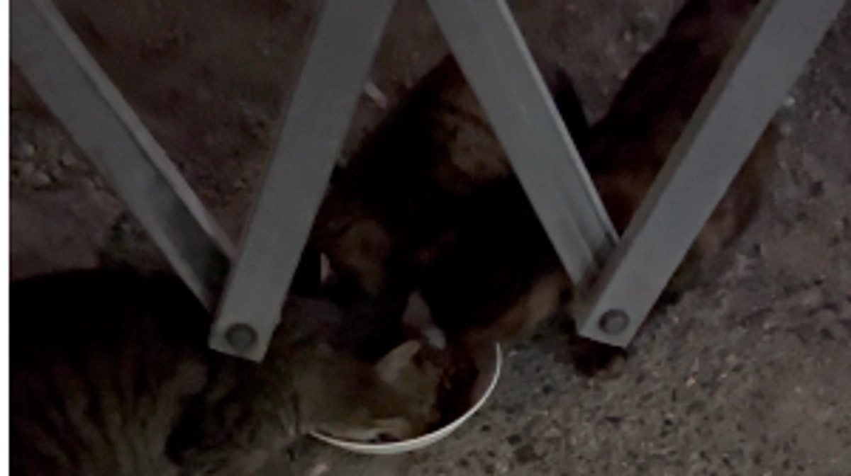 お伝えしていた新たな場所