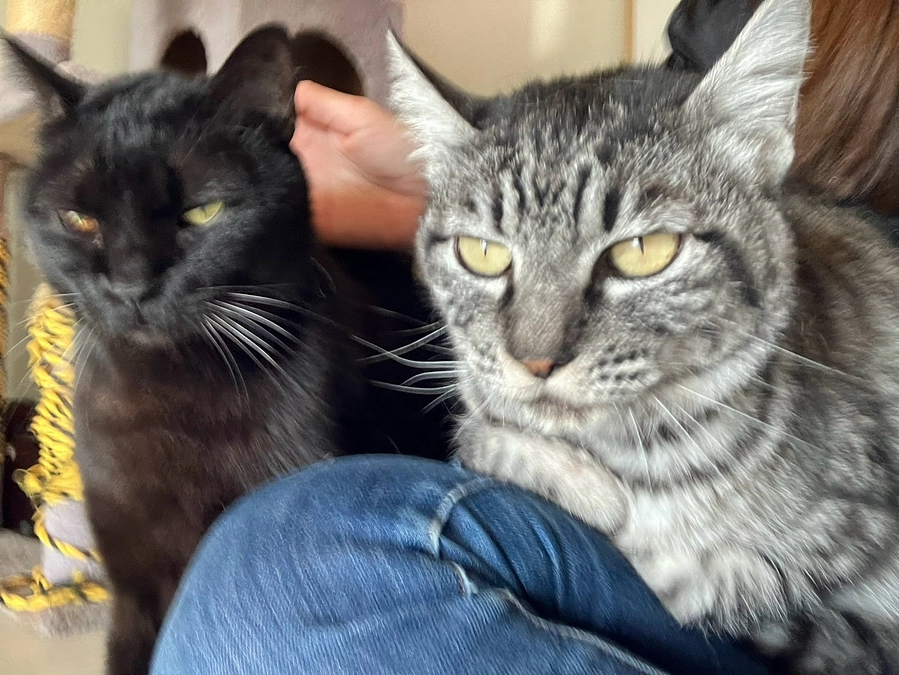 最高のボランティアさん達