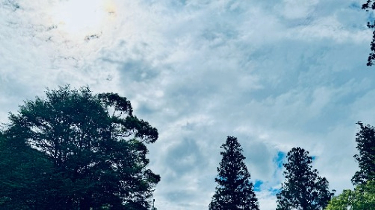 夏越の大祓が執り行われました