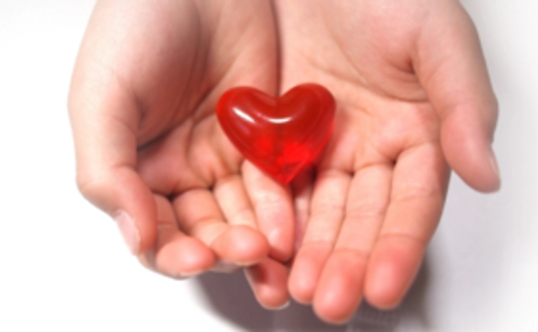 Mex応援プラン10000