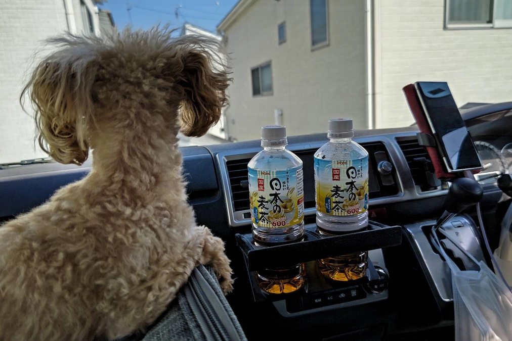 移動は片道2時間ですがガンバります！