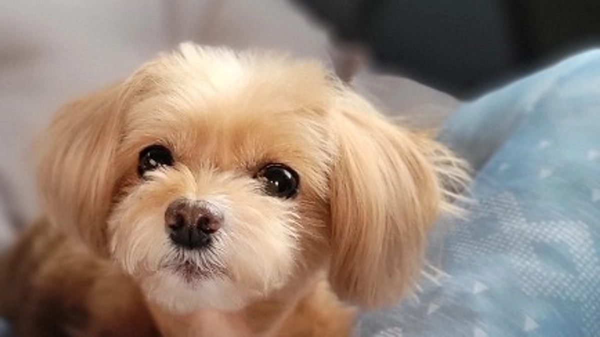 退院後初のドライブに連れて行きました。