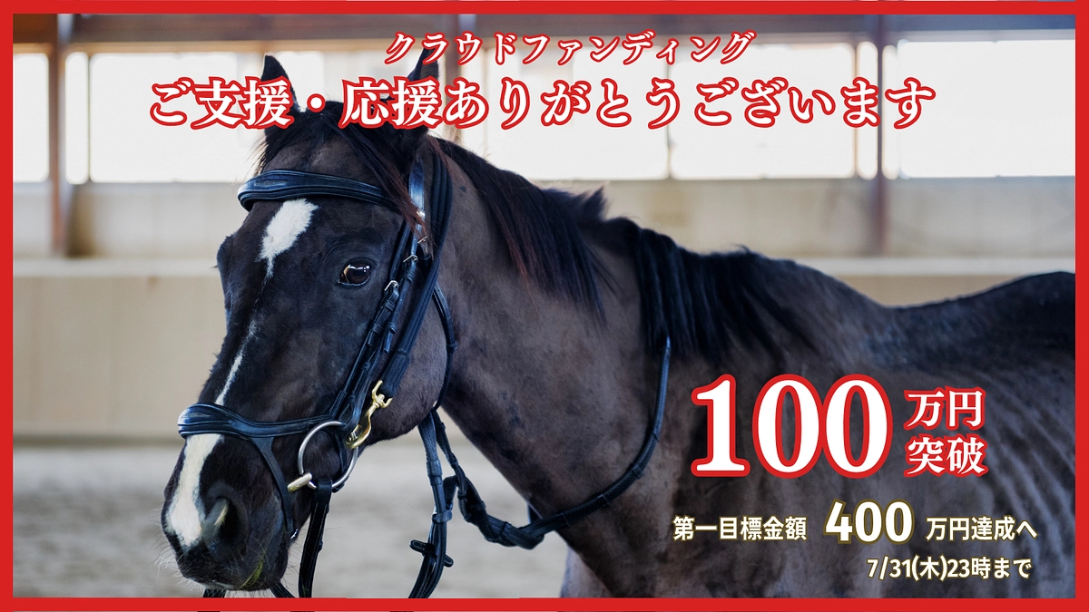 おかげさまで100万円突破｜一日でも早い第一目標400万円の達成を目指して、引き続きお願いします！