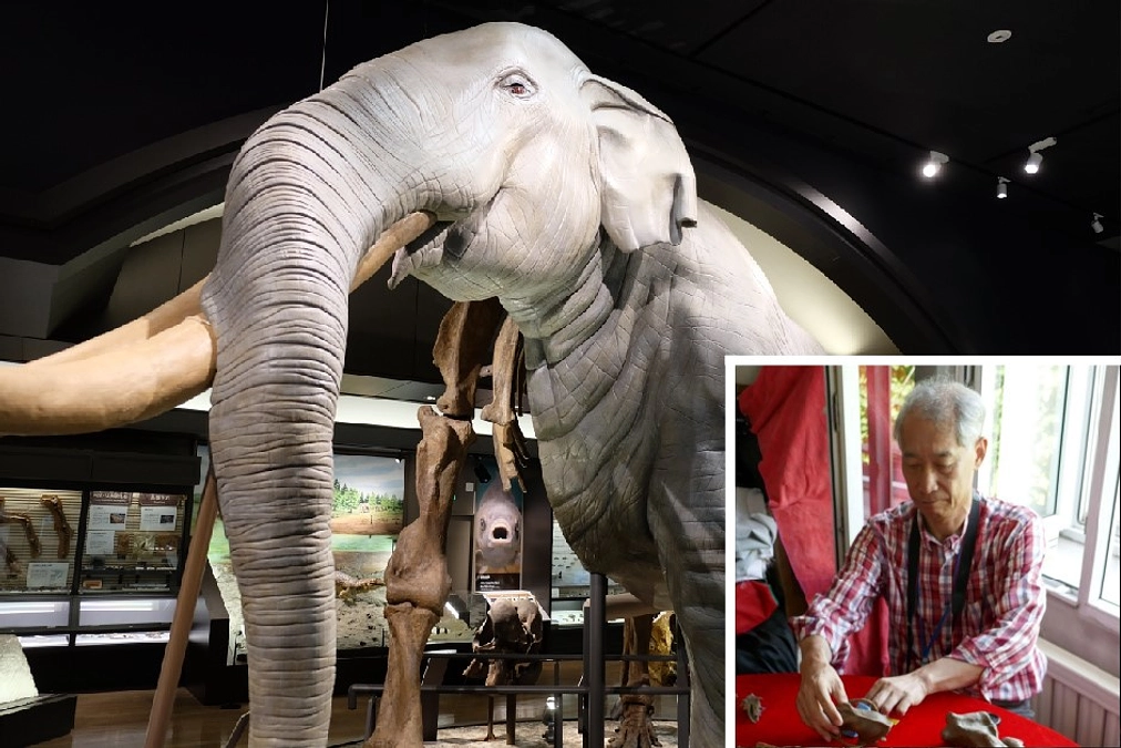 館長からのメッセージ